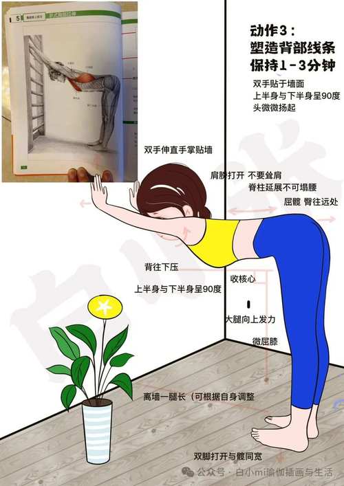 做背小技巧与教程，如何高效学会？-图1