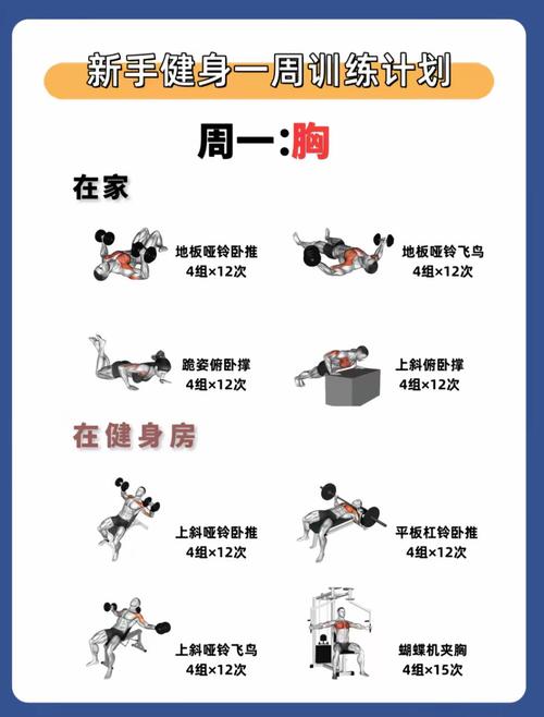 男健身新手怎么练才高效？-图3