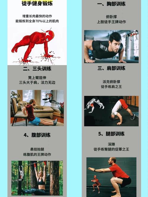男健身新手怎么练才高效？-图1