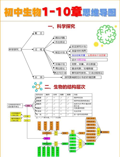 学好生物的方法和技巧-图1