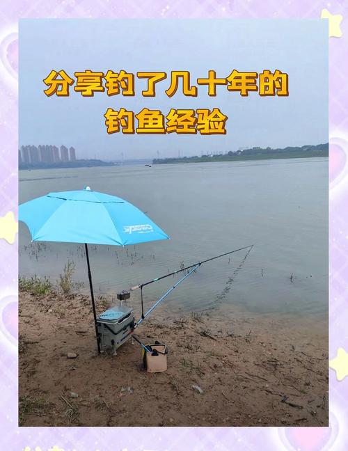 仲秋阴天钓鱼,如何提升上鱼率?-图2 仲秋阴天钓鱼,如何提升上鱼率?-图2