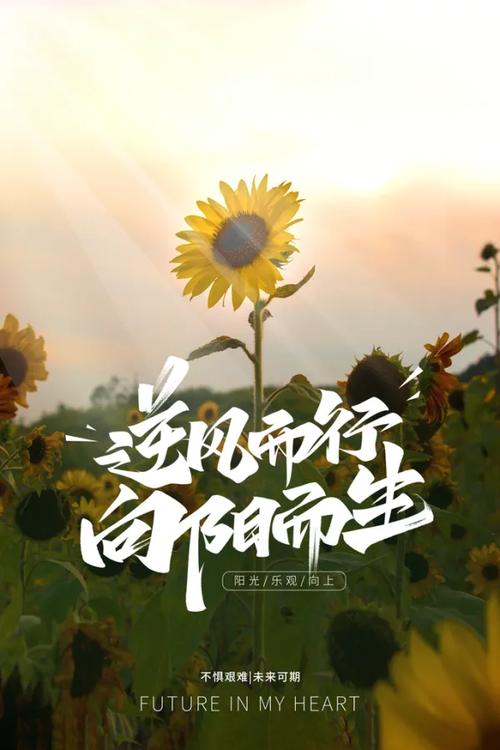 励志创意图片-图3