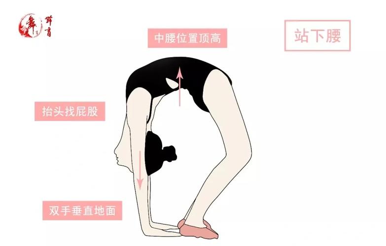 舞蹈后挺身技巧-图2 舞蹈后挺身技巧-图2
