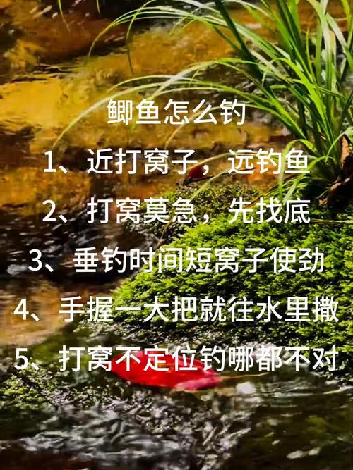 筏竿钓鲫的技巧-图1