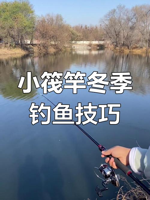 筏竿钓鲫的技巧-图3