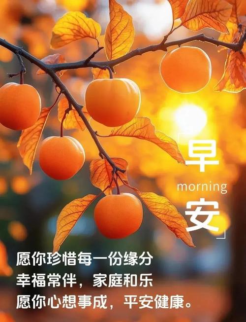 早晨创意从何而来？-图2