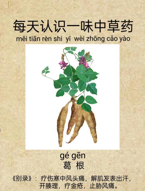 采葛表达技巧有哪些核心要点？-图3