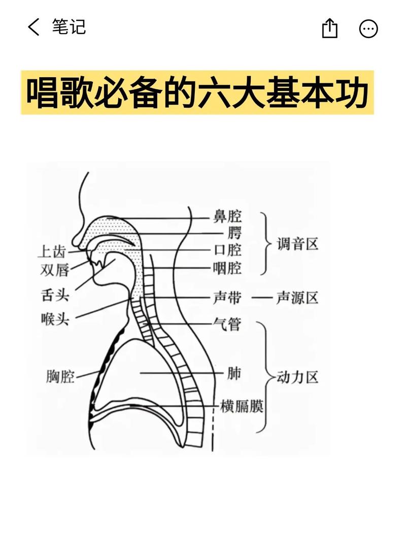脱稿唱歌如何不跑调又自然？-图2
