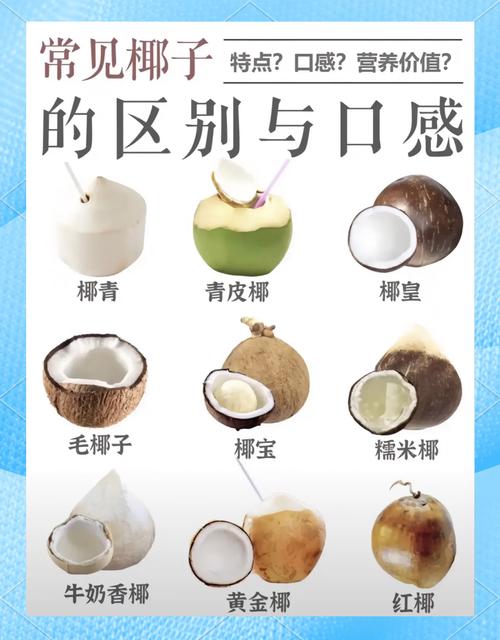 椰子创意名称-图2