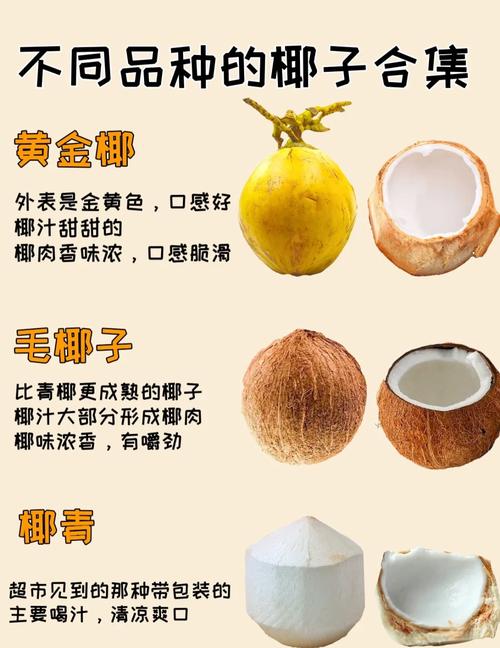 椰子创意名称-图1