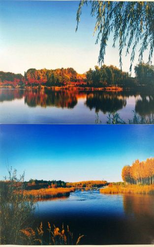 中学摄影比赛技巧-图3