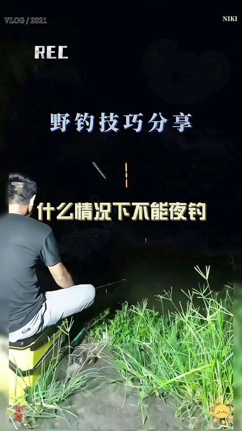 夜钩鱼技巧-图1 夜钩鱼技巧-图1