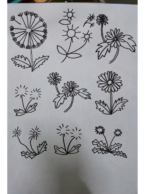 简笔画植物技巧有哪些关键要点？-图2