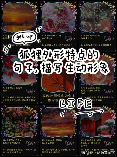 狐狸说话技巧6-图2