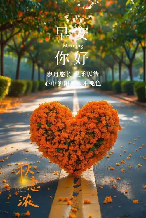 创意早安图片，如何唤醒每日灵感？-图1