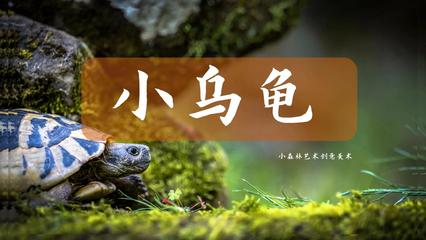 创意儿童美术ppt,创意儿童美术ppt免费-图3 创意儿童美术ppt,创意儿童美术ppt免费-图3