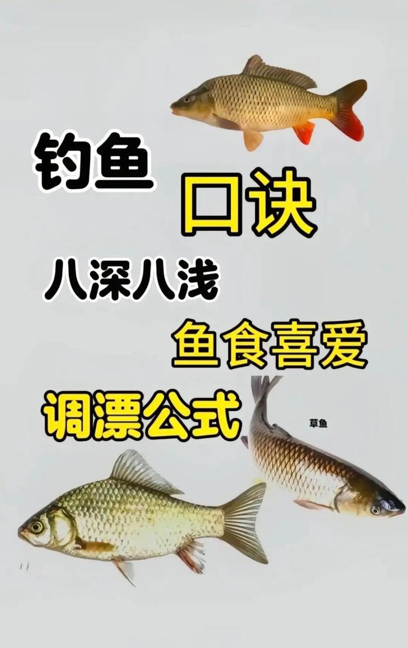 北方春季野钓鲫鱼，如何巧用技巧？-图3