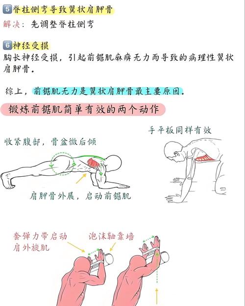 掰膀子技巧动作教学视频，怎么学才有效？-图2