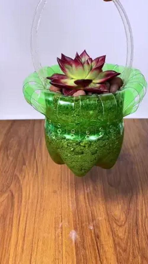 废塑料瓶创意手工花盆，废塑料瓶创意手工花盆视频-图1