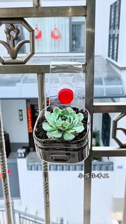 废塑料瓶创意手工花盆，废塑料瓶创意手工花盆视频-图3