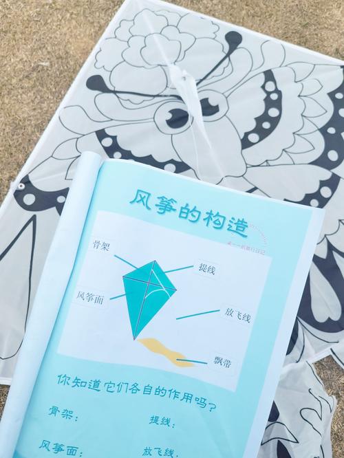 风筝 放风技巧，风筝 放风技巧视频-图2