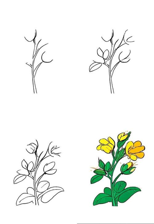 简笔画植物技巧，简笔画植物技巧图片-图1