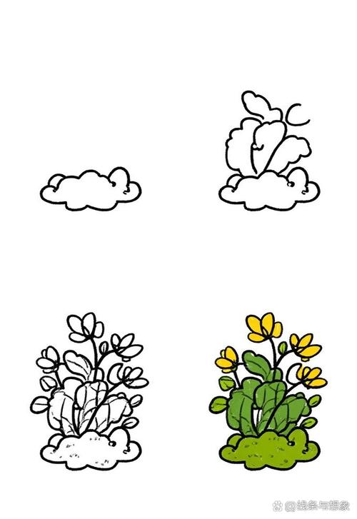 简笔画植物技巧，简笔画植物技巧图片-图3