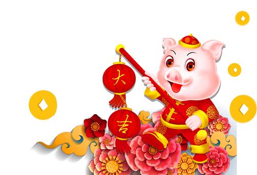 猪年创意主题有哪些新颖灵感？-图2