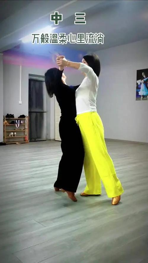 舞蹈快三技巧，舞蹈快三技巧教学视频-图1