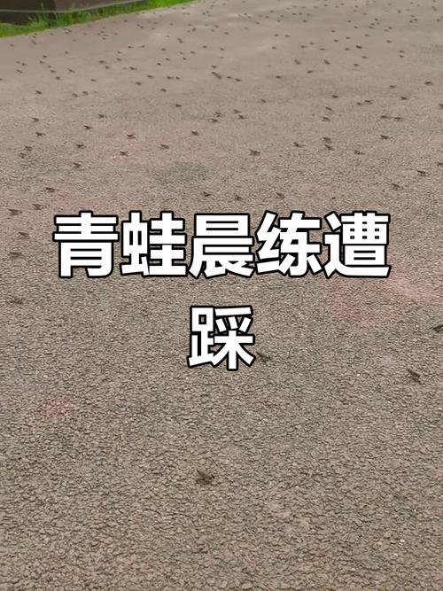 青蛙踩踏技巧有哪些关键要领？-图2