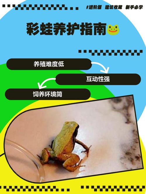 青蛙踩踏技巧有哪些关键要领？-图3