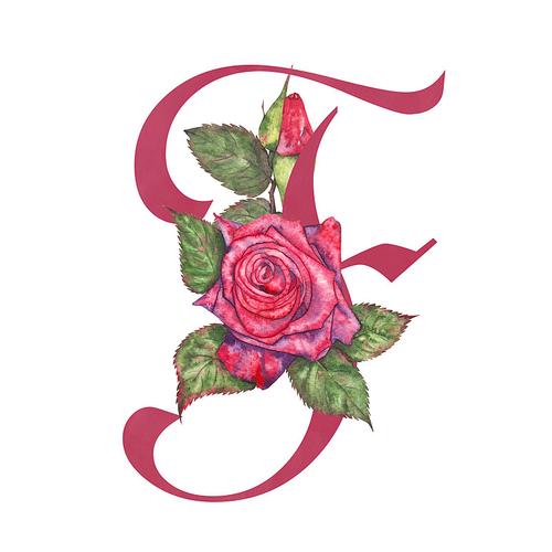 玫瑰花创意字体-图1