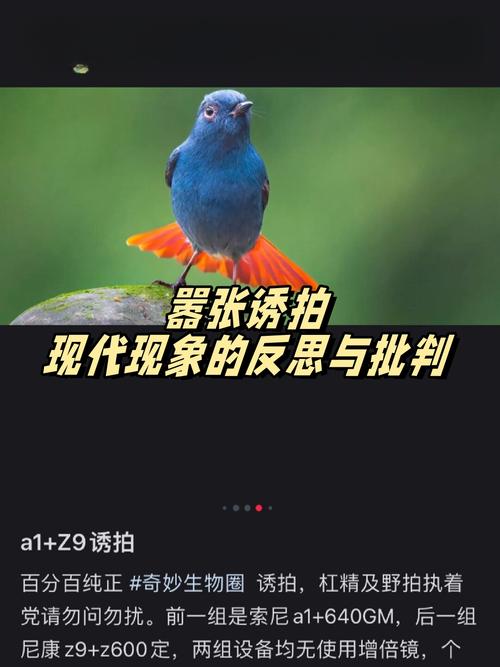 摄影技巧反思是必须的吗?-图1 摄影技巧反思是必须的吗?-图1