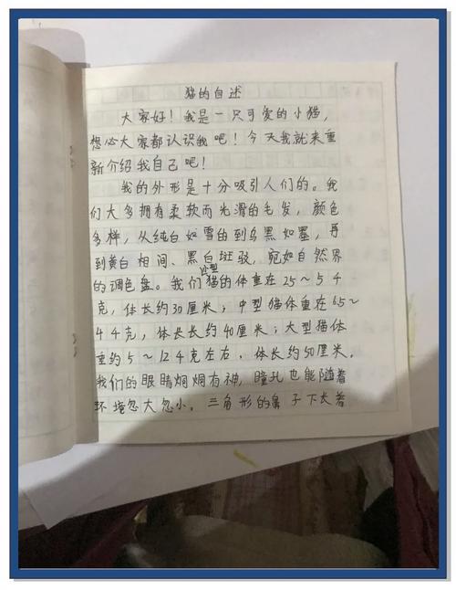 如何生动描写小猫？-图2