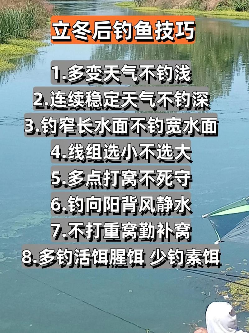 立冬时节钓鱼技巧,立冬时节钓鱼技巧和方法-图3 立冬时节钓鱼技巧,立冬时节钓鱼技巧和方法-图3
