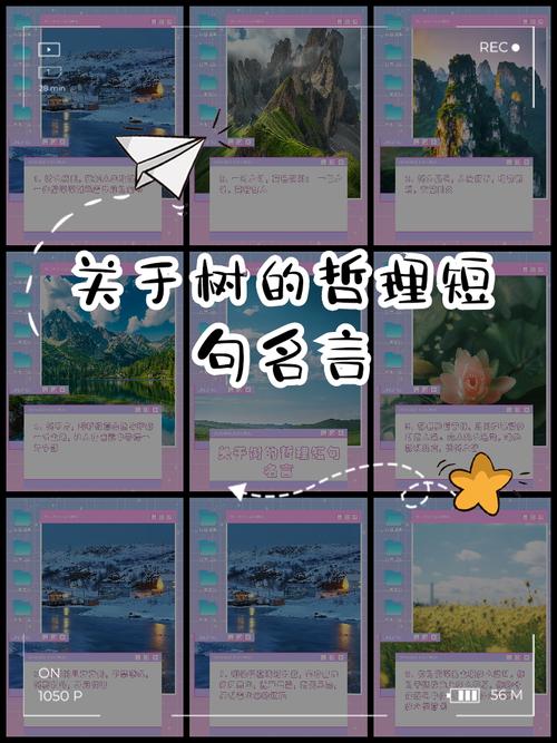 描写树的技巧,描写树的技巧的句子-图3 描写树的技巧,描写树的技巧的句子-图3