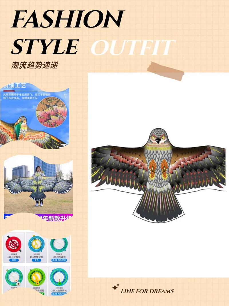 老鹰风筝技巧视频，新手如何快速学会？-图1