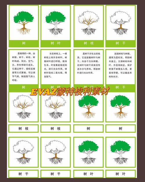 智慧树技巧，智慧树教程-图3