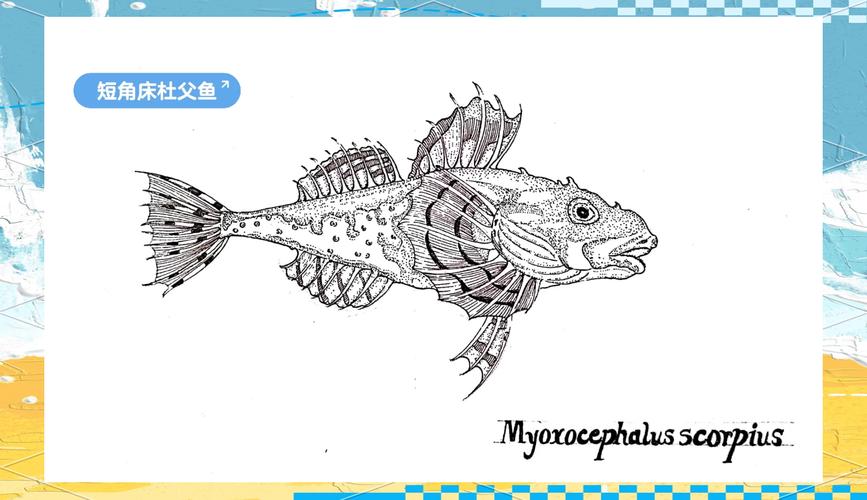 鱼手绘创意图片有哪些独特灵感？-图1