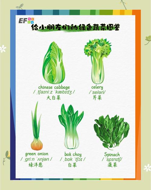 卖白菜表达技巧，卖白菜表达技巧有哪些-图3