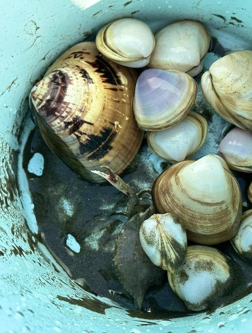 哈喇挖技巧，怎样挖哈喇-图3