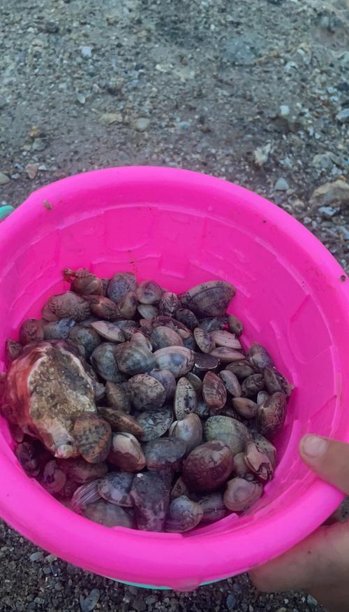 哈喇挖技巧，怎样挖哈喇-图2