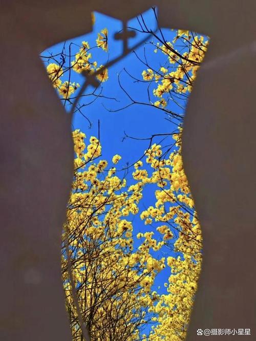 简单创意摄影-图3