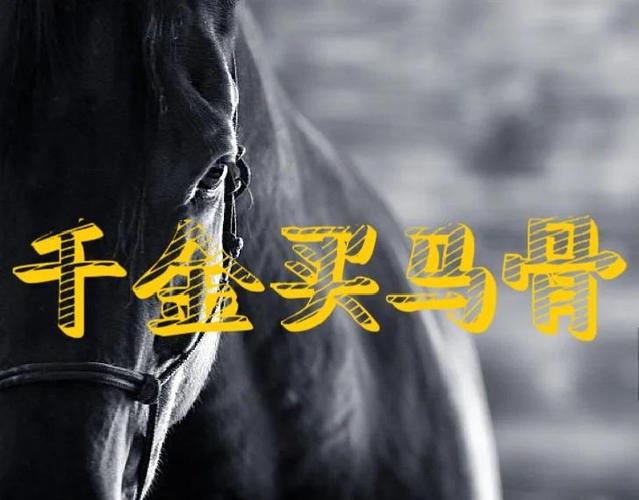 买马真有技巧？如何稳赢？-图1