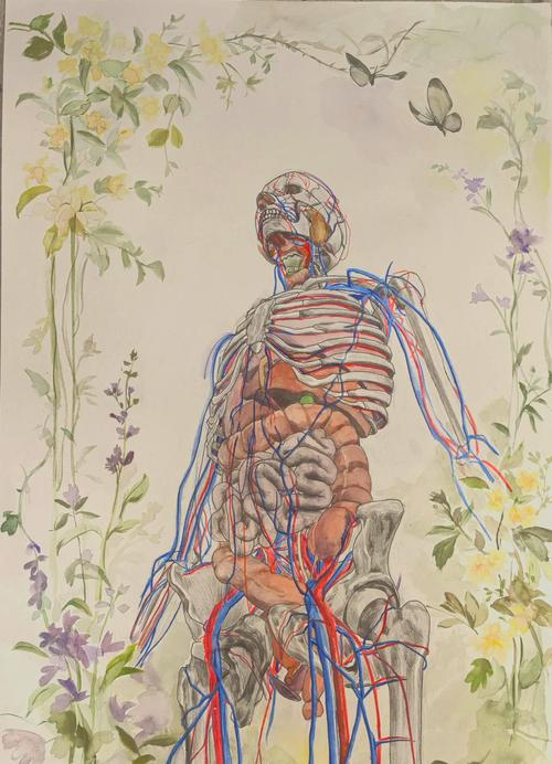 创意解剖素描-图1 创意解剖素描-图1
