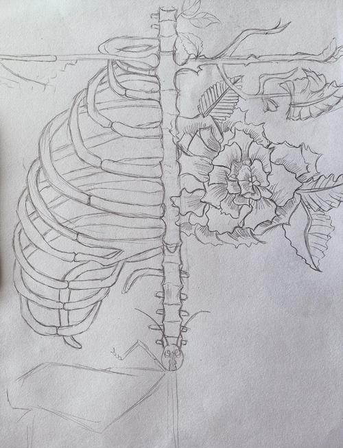 创意解剖素描-图3 创意解剖素描-图3