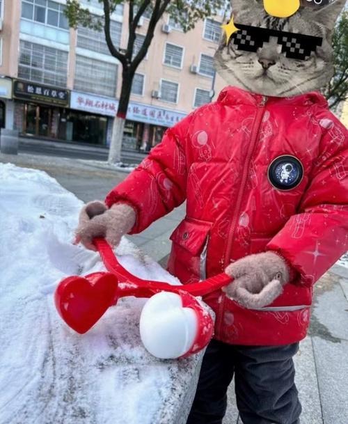 夹雪鸭子怎么做才酥脆不腻？-图3