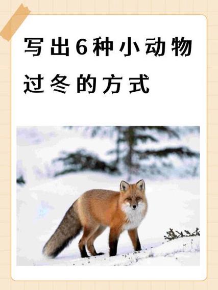 夹雪鸭子怎么做才酥脆不腻？-图2