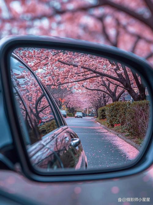 摄影创意图片-图1 摄影创意图片-图1