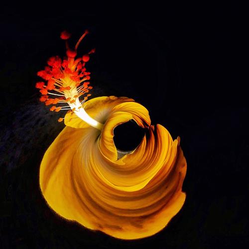 摄影创意图片-图3 摄影创意图片-图3